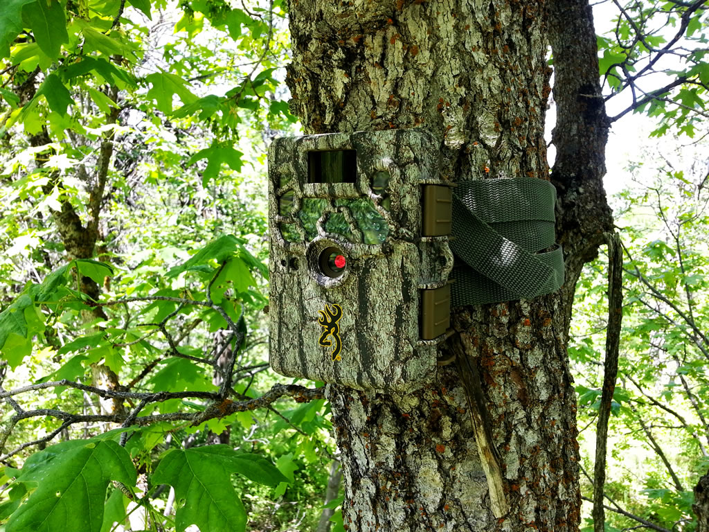 browning-recon-camo-trail-cam-l