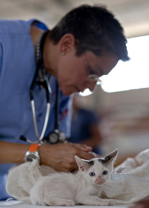 veterinář